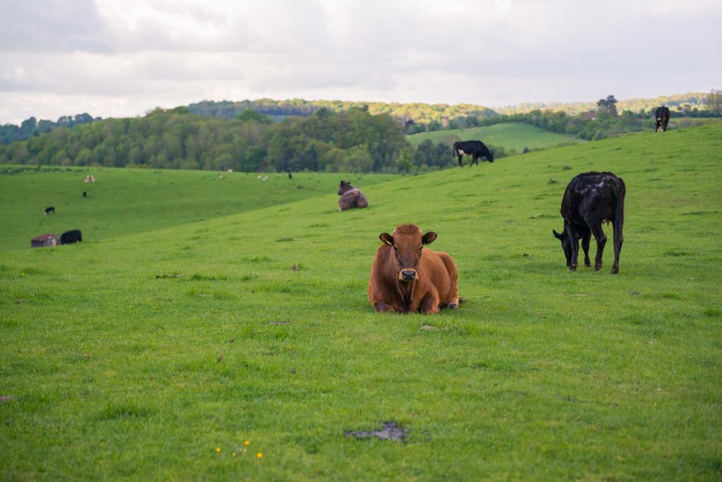 Huntlands Farm Bed & Breakfast Bromyard Εξωτερικό φωτογραφία