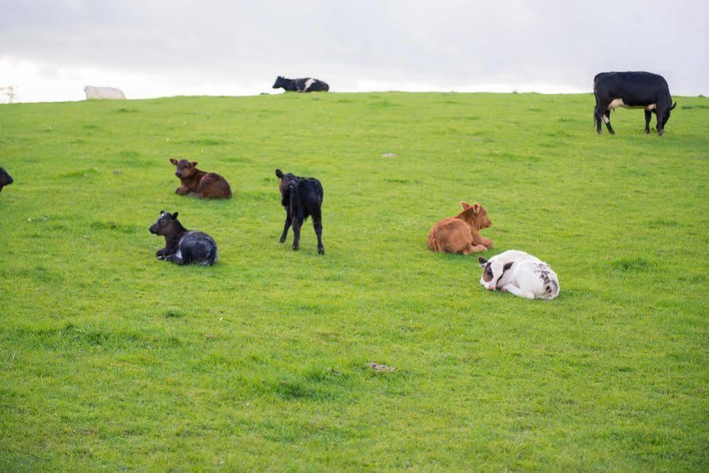 Huntlands Farm Bed & Breakfast Bromyard Εξωτερικό φωτογραφία